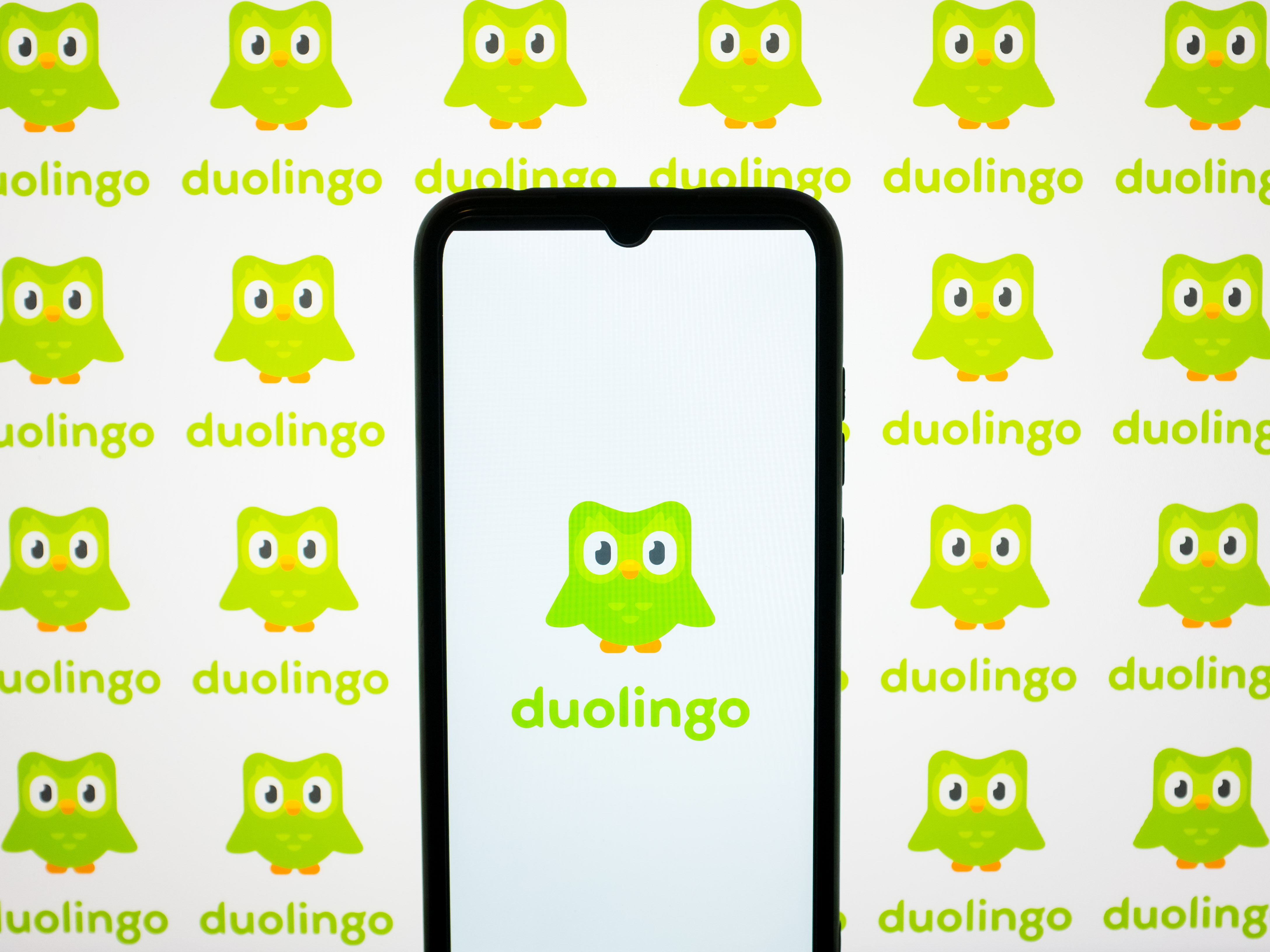 caption: Duolingo announced the death of its owl mascot, Duo, this week. He was known for his snarky social media presence and sometimes-threatening way of reminding people to do their daily language lessons.