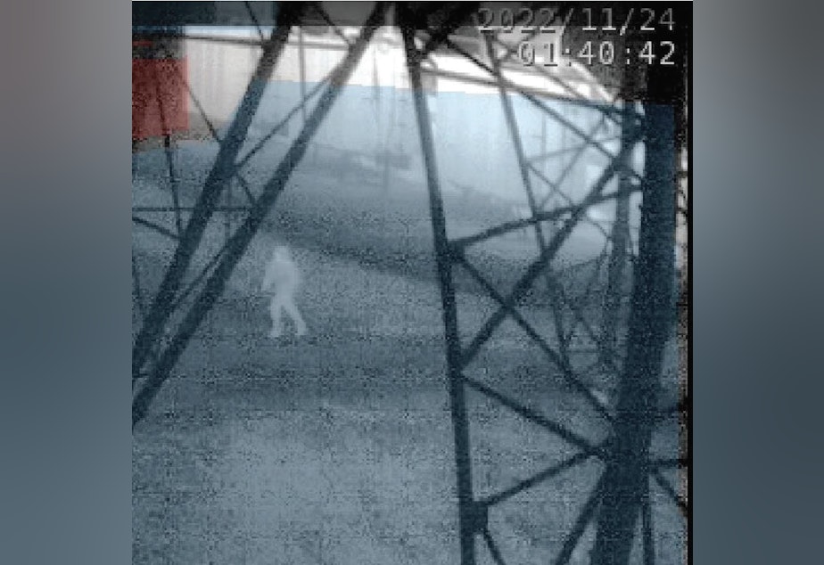 caption: An infrared image from 1:40 a.m. on Nov. 24, 2022, shows a person running beneath a transmission tower inside a Bonneville Power Administration substation in Oregon City, Oregon.