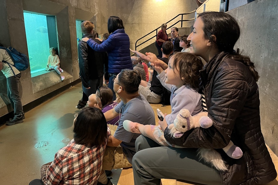 caption: Visitors to the Ballard Locks fish ladder