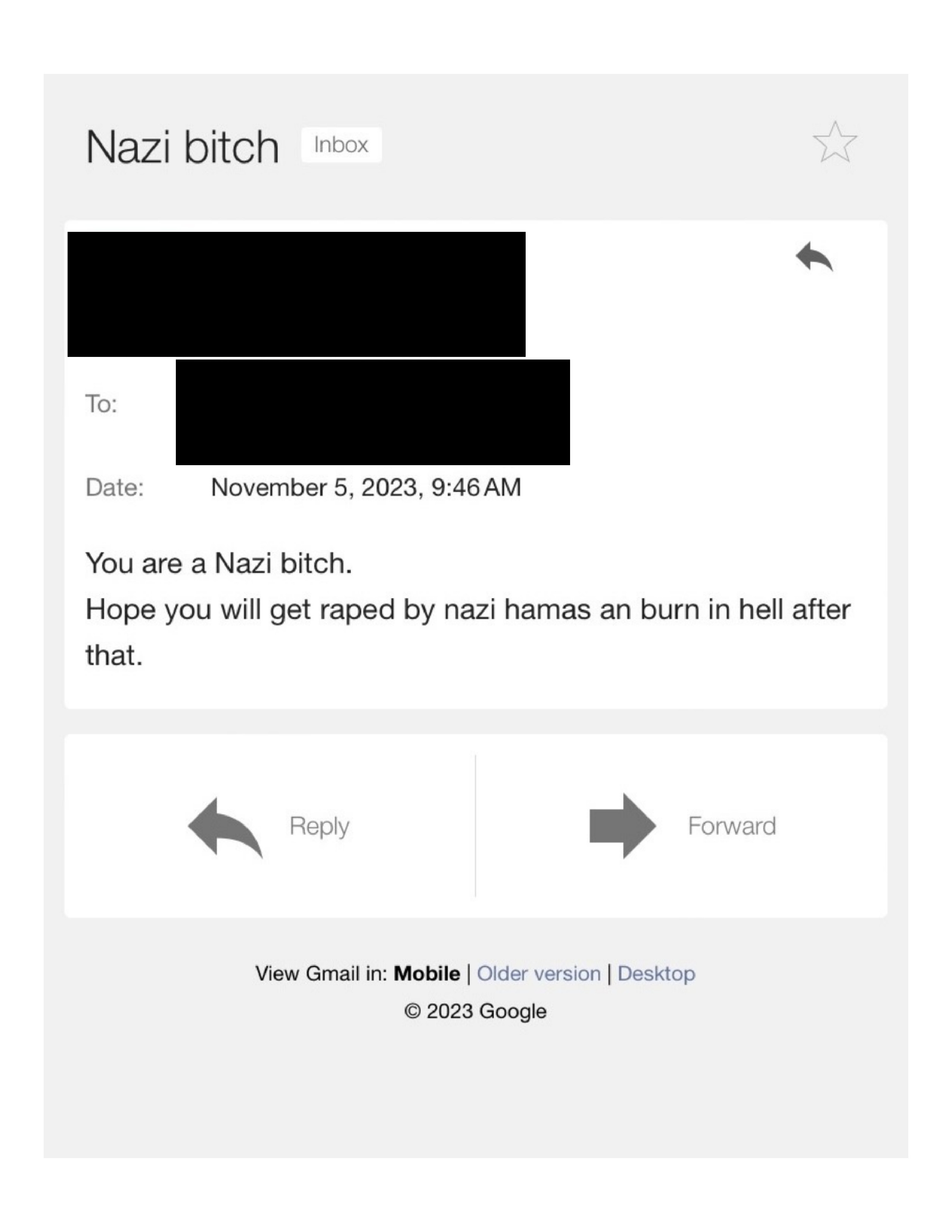 caption: <em>Warning: these images contain vulgar language, threats of sexual violence and death threats. </em>