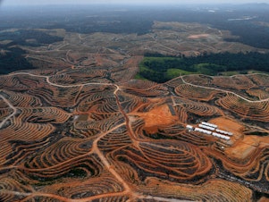 caption: Deforested land on Indonesia's Borneo Island. Activists are using satellites to monitor deforestation, but cloud cover sometimes hides it from view.