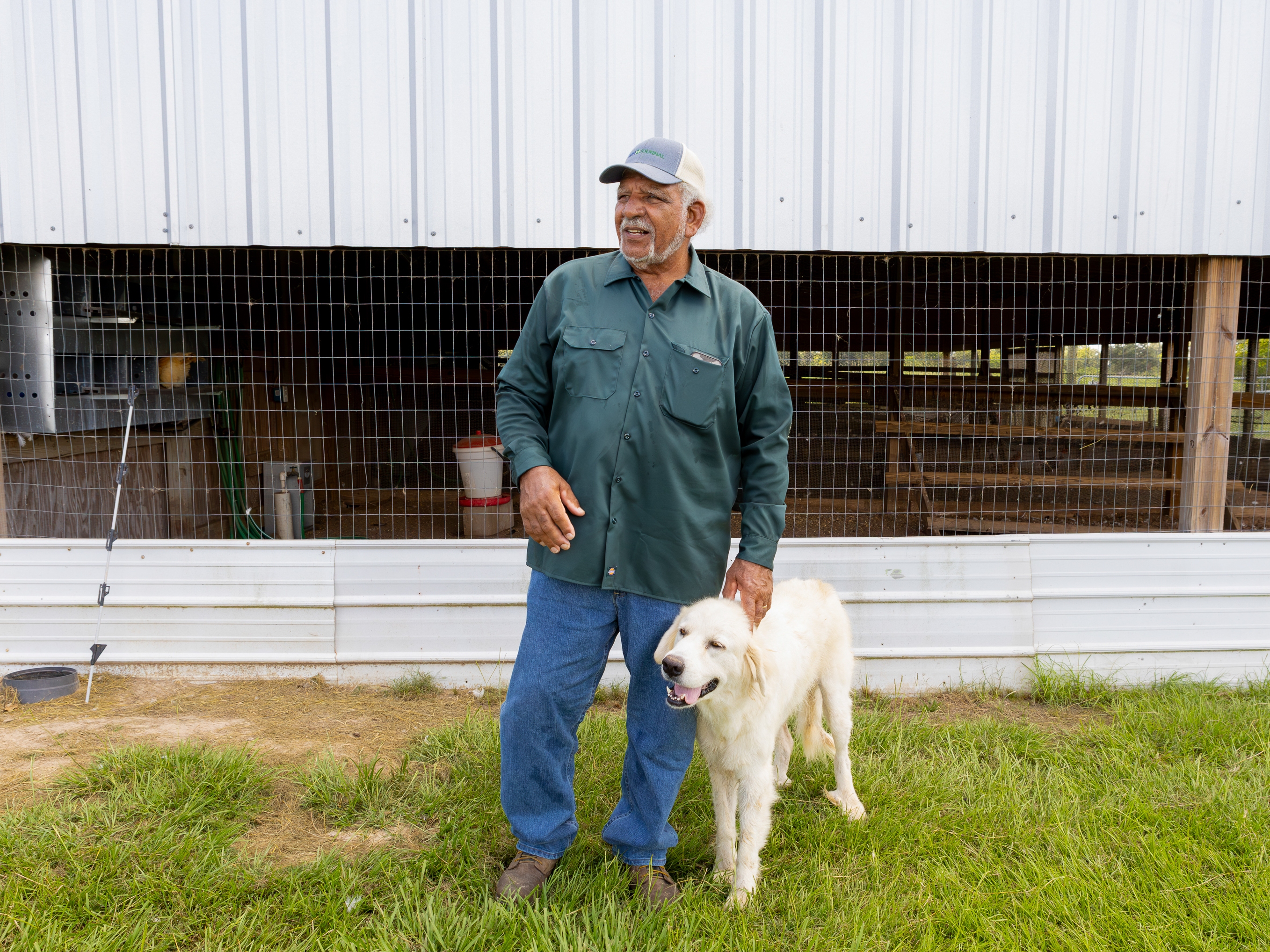 caption: Hilery Gobert and his livestock guardian dog, Bella, at Driftwood Farm in Iowa, Louisiana. Bella protects the farm's animals from predators like coyotes.