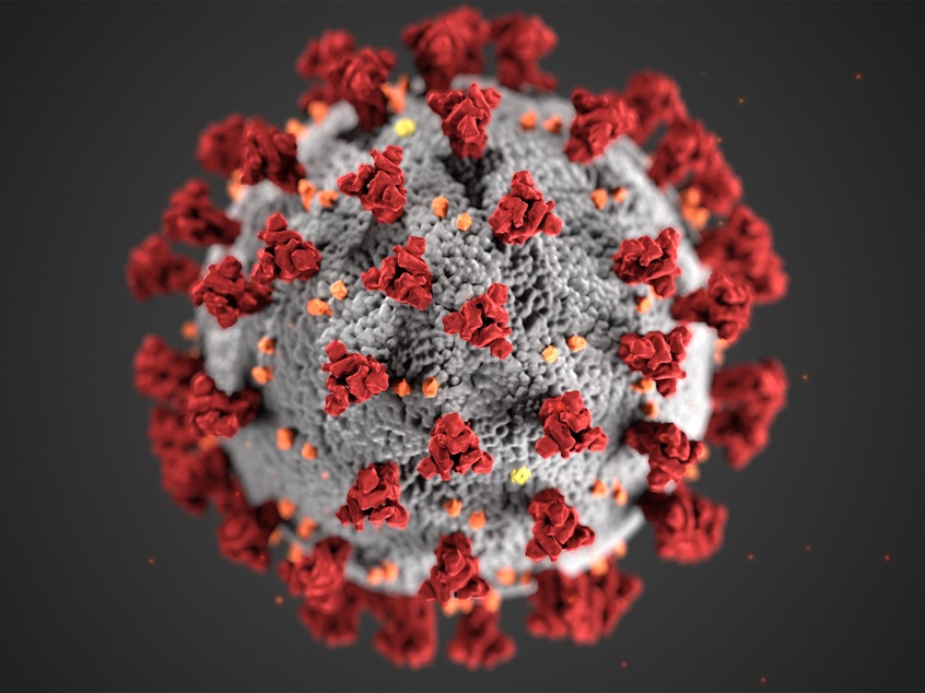 caption: An illustration created at the U.S. Centers for Disease Control and Prevention conveys a likeness of the coronavirus that's behind the current pandemic.