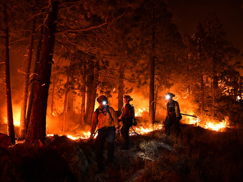 caption: Lake Tahoe, CA. September 2, 2021: Firefighters battle the Caldor fire along highway 89 west of Lake Tahoe Thursday.