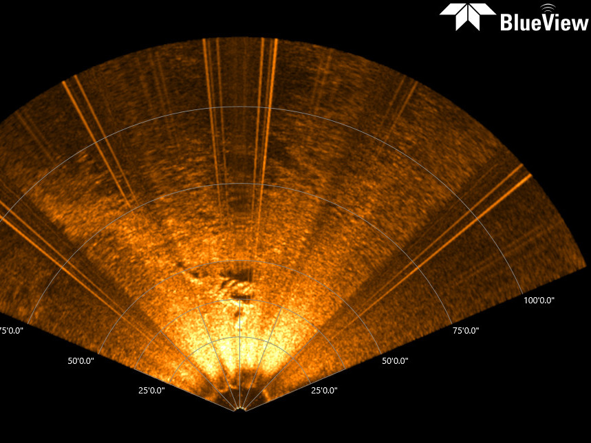 caption: Sonar image presumed to be of the George L. Newman shipwreck