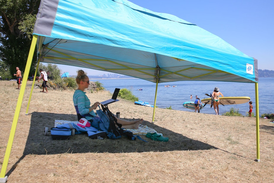 caption: Jenna Shimek works on her laptop at Colman Beach, Monday, between periodic dips in the Lake Washington. "It's cooler than anywhere else I could be," she said.